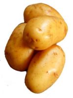 Fresh Potatoes