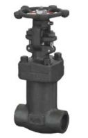 Forged steel bellow sealed valves