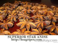 Superior star aniseed (superior star anise)