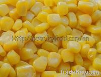 offering fresh frozen sweet corn kernels TBD-7