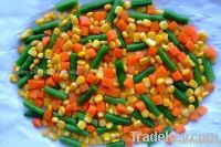 iqf  mixed  vegetables TBD-3-3