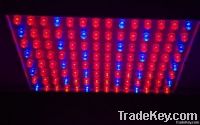 Plant Grow Lights