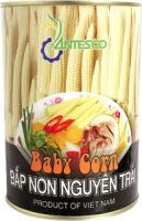 https://jp.tradekey.com/product_view/Baby-Corn-915575.html