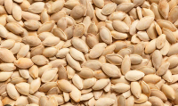 sale Pumpkin Seeds Best Price / 8-10mm pumpkin seeds chinese pumpkin seeds inshell on going discount