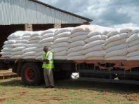 White Maize Meal ...