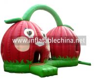 inflatable bouncer, inflatable jumper, bounce house