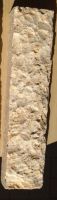 Hammered Coral Stone
