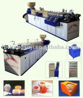 EPE Foam Net Extruder