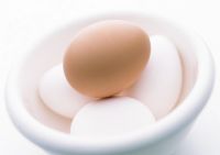 https://es.tradekey.com/product_view/Chicken-Eggs-915875.html