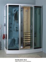 sauna shower room