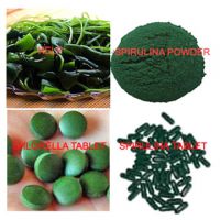 Spirulina