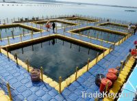 fish farm