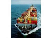 logistics service/freight service/international forwarder