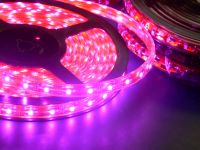 SMD LED  Light strips