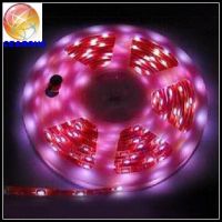 led strip lights