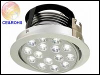 LED Ceiling Light