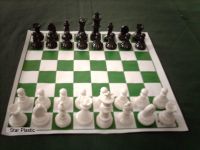 Plastic Chess Set
