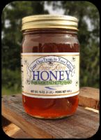 Pure Raw Saw Palmetto Honey