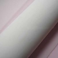 Polyamide Nylon Mesh Fabric
