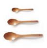 Bamboo Spoon