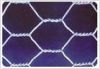Hexagonal Mesh