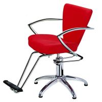 Styling Chair Barber Chair H-9848