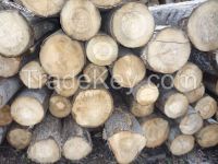 Wood (timber) from Russia, Siberia: oak, aspen, alder.