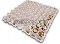 Quail egg tray for 56 cells