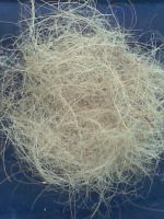 coir fibre / coconut fibre