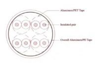 Category 6A cable FFTP