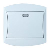 Single Switch with Indicator