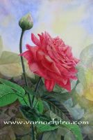 Floral Painting of a Rose