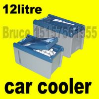 car fridge/refrigerator/cooler/portable cooler/portable fridge