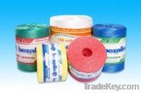 Polyptopylene baler twine