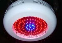 90W LED grow light