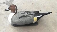 https://www.tradekey.com/product_view/100-Foam-Filled-Pintail-Decoy-Floatie-Duck-Hunting-Decoys-With-Highly-Detailed-Painting-8953884.html