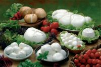 https://fr.tradekey.com/product_view/Buffalo-Mozzarella-Campana--959912.html