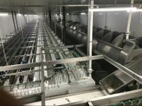 Halal Chicken Slaughter machine Production Line