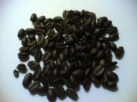 https://www.tradekey.com/product_view/Export-Robusta-Coffee-Beans-robusta-Coffee-Bean-Importer-robusta-Coffee-Beans-Buyer-buy-Robusta-Coffee-Beans-robusta-Coffee-Bean-Wholesaler-robusta-Coffee-Bean-Manufacturer-best-Robusta-Coffee-Bean-Exporter-low-Price-Robusta-Coffee-Beans-best-Quality-Rob-963284.html