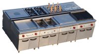 Free Standing Gas Cooking Equipment