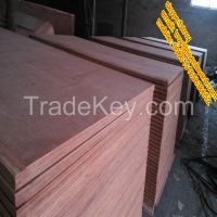 28mm  Keruing Plywood/Container plywood