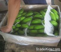 https://www.tradekey.com/product_view/Cavendish-Banana-270039.html