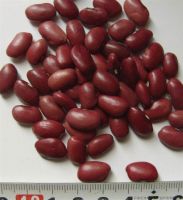 small red kidney bean