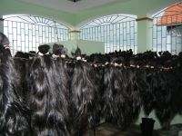 100% cambodian remy human hair, natural slightly waved