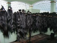 1oo% Natural Human remy Hair Extensions, Cambodian Hair bulk & weft