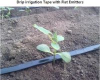 Drip Irrigation tape with flat emitters