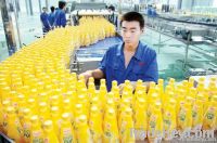 complete fruit juice production line