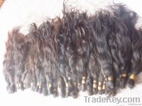 100% human hair raw material top thickness lower price