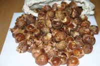Organic Soap Nut Shells