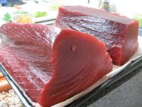 Fresh blue fin tuna